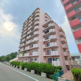 中古マンションの外観写真（真栄マンション泉楽_301号室）