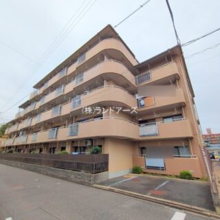 中古マンションの外観写真（グリーンシティ弥生_203号室）