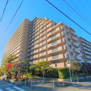 中古マンションの外観写真（パークシティ三郷壱番館西棟_1210号室）
