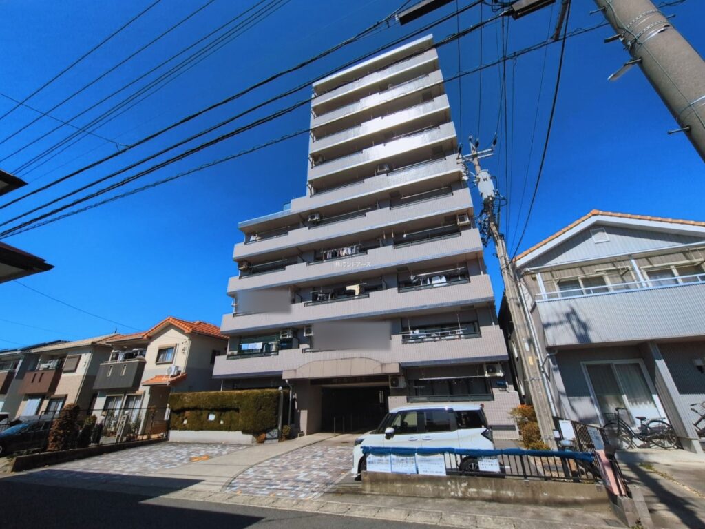 モアグレース枠杁 1