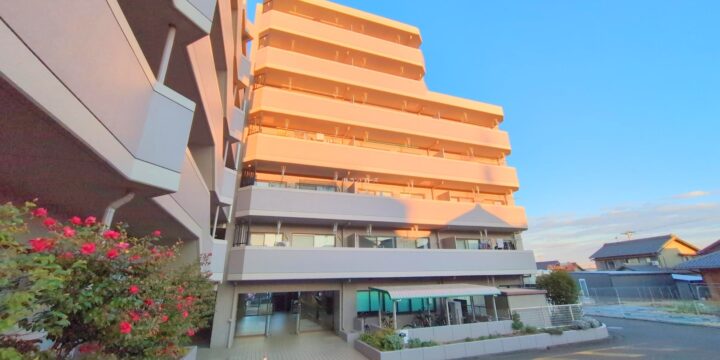 チッタ名和 1