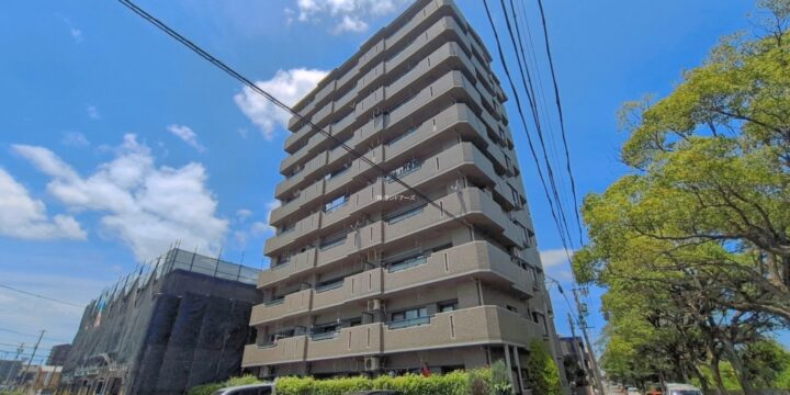 ユーハウス正徳 1