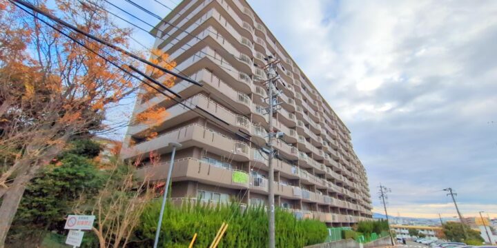 コミュニタス千代が丘S棟 1