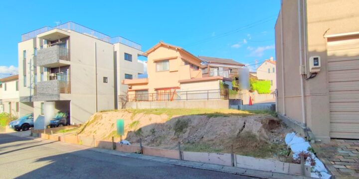 岡崎市戸崎町字藤狭（土地） 1