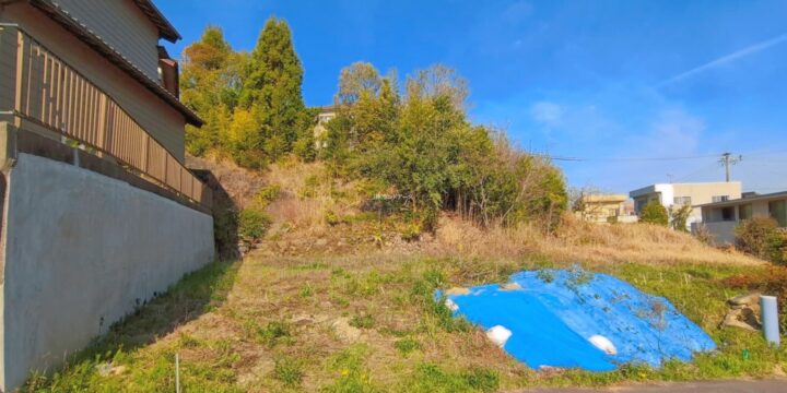 岡崎市本宿町字梨子木（土地） 1
