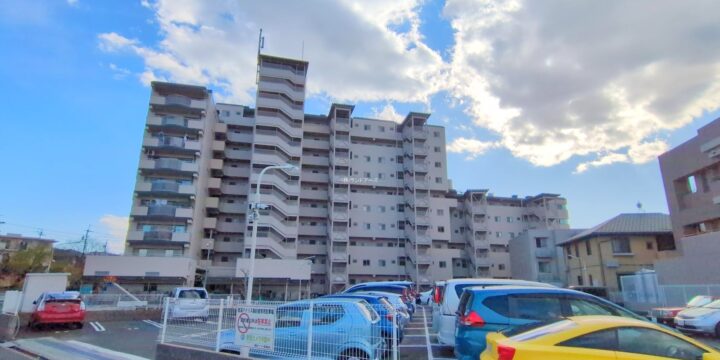 檀渓アイリス 1